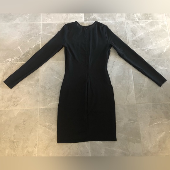 Wilfred Free Long Sleeve Mesh Mini Dress - Picture 4 of 11